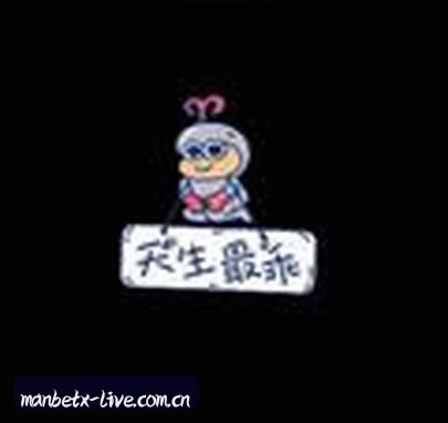 陈磊